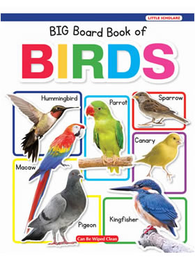 Little Scholarz New Big Board Book Of Birds